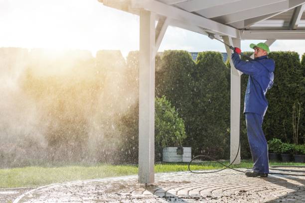 Best Brick and Stone Cleaning in Havre, MT